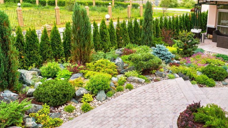 Plant Hardiness Zones & How to Choose The Best Plants for Your Zone