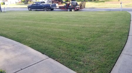 lawn mowing services