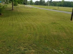 Lawn Mowing By Walnut Grove