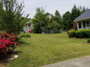 Lawn Mowing By Walnut Grove