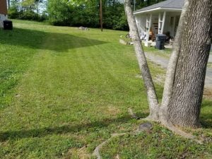 Lawn Mowing By Walnut Grove