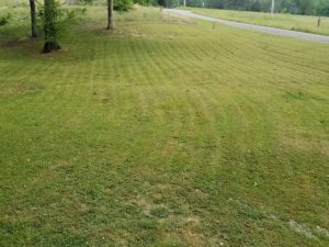 Lawn Mowing By Walnut Grove