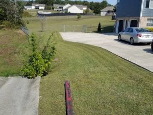 Lawn Mowing By Walnut Grove