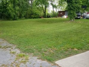 Lawn Mowing By Walnut Grove