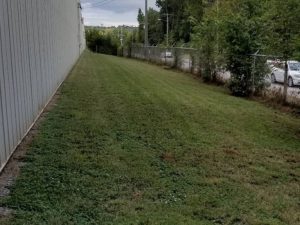 Lawn Mowing By Walnut Grove